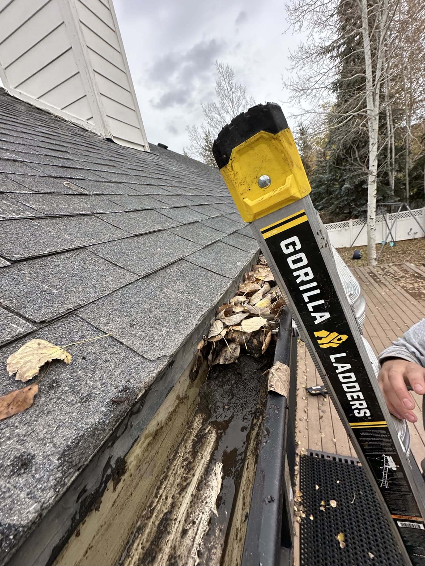 Gutter packed with leaves, debris, and standing water before cleaning, and the same gutter channel cleared afterward — before