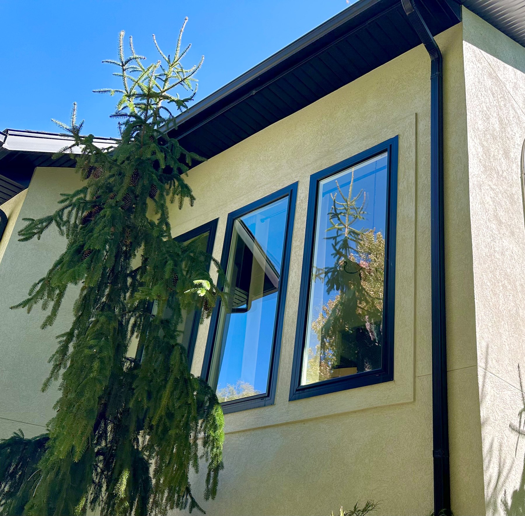 Windows on a dark-sided modern home after cleaning