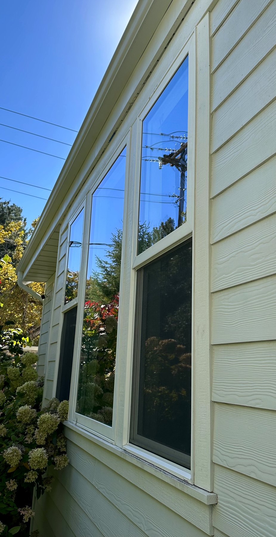 Tall gable-end windows on a sided home after cleaning