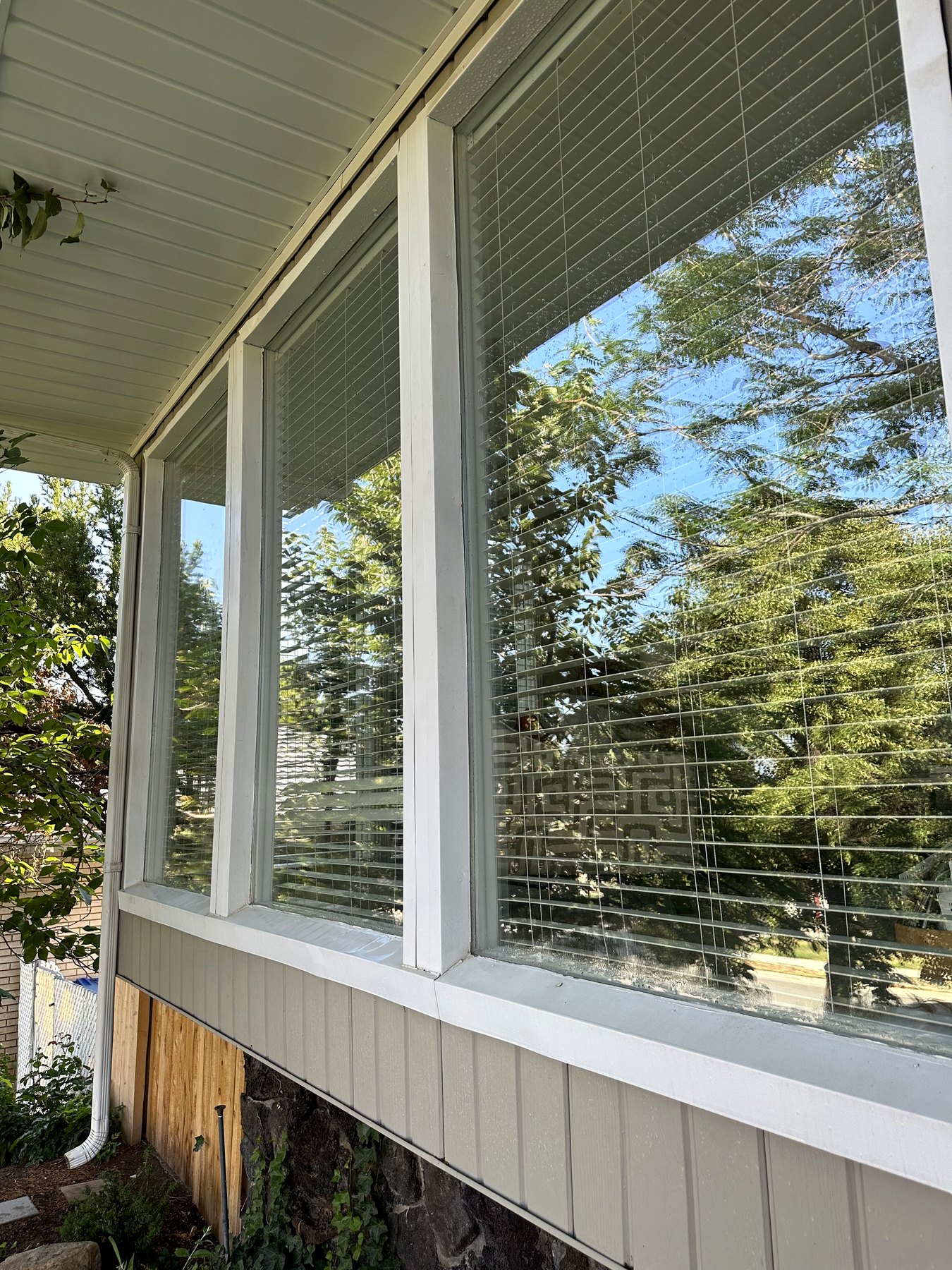 Row of clean porch windows reflecting trees