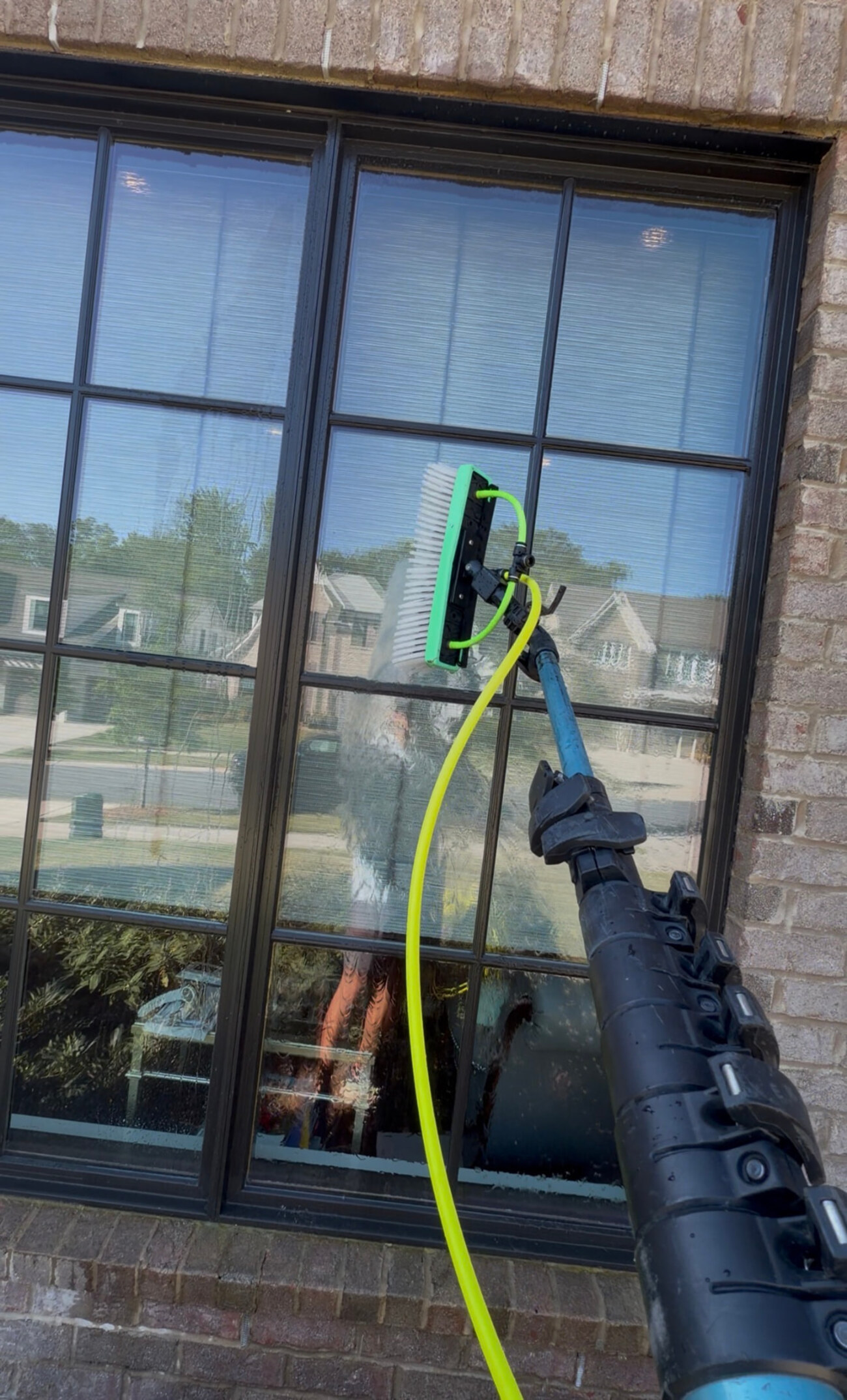 Window Cleaning