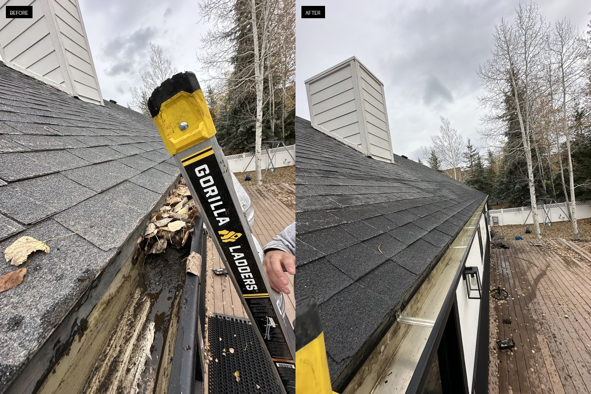 Gutter Cleaning