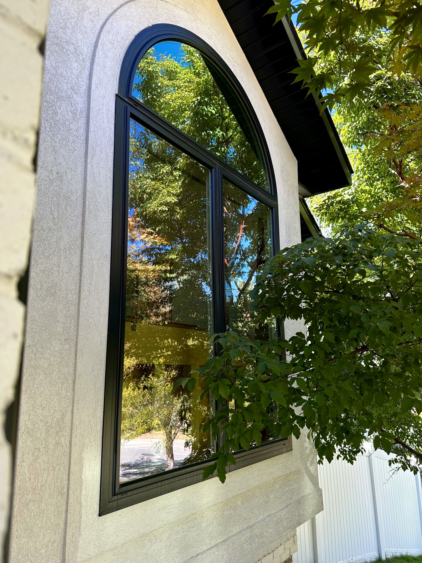 Arched exterior window with clean glass reflecting trees