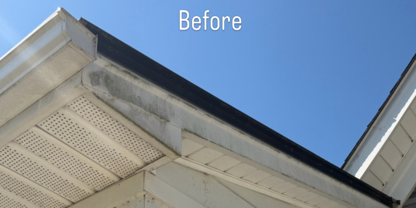 Gutter line and soffit before and after a soft wash — before