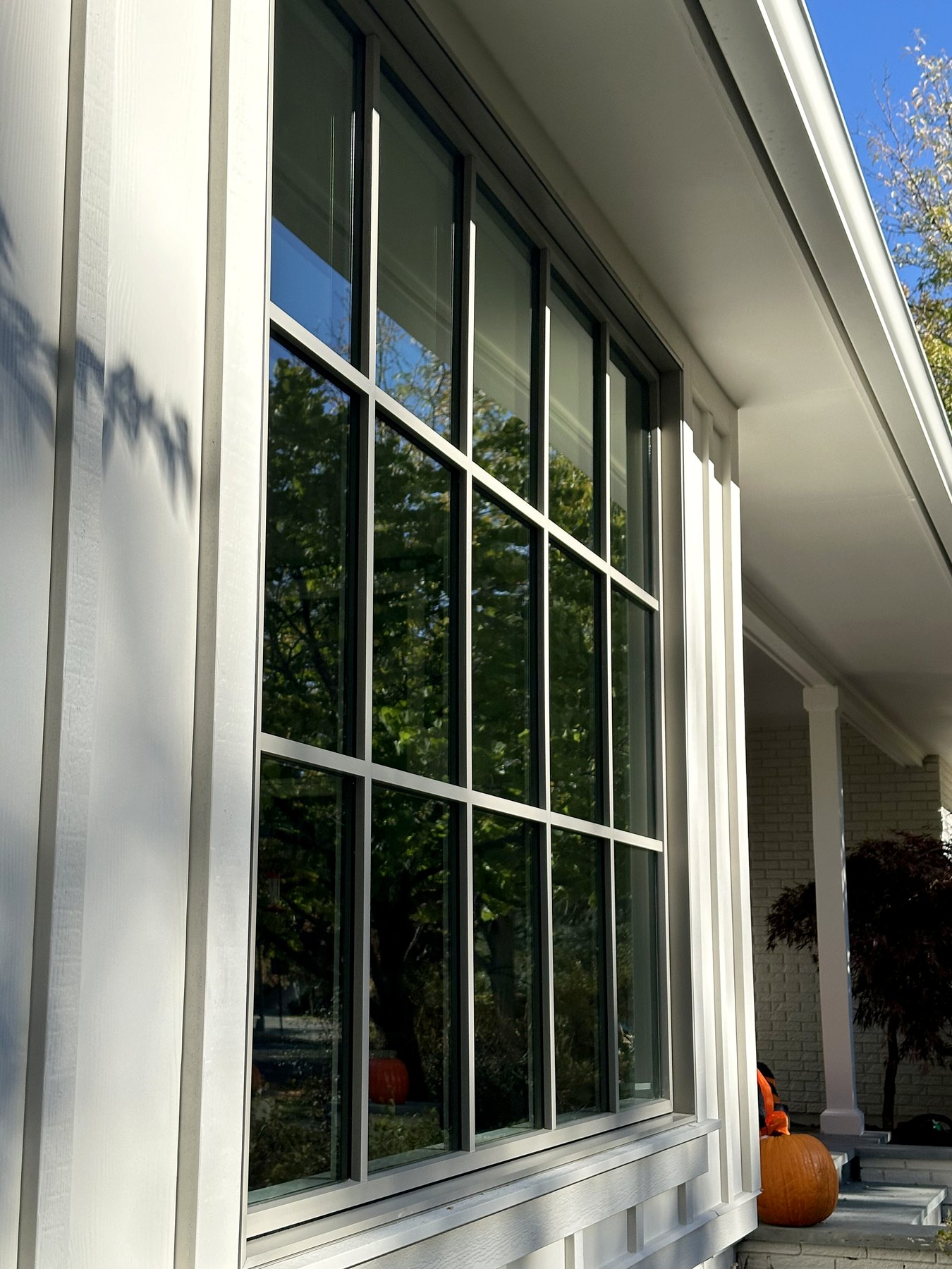 Grid-pane window with clean glass and white trim