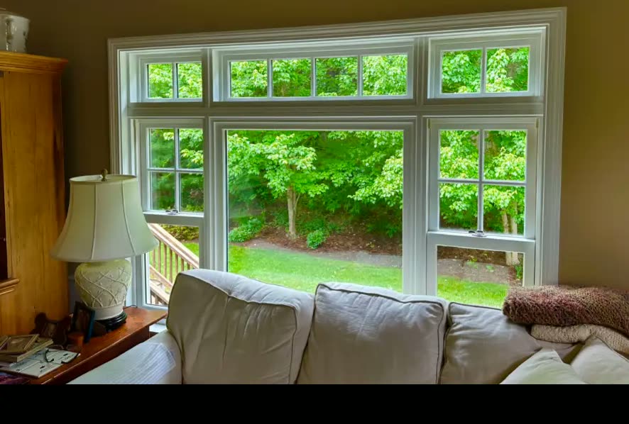 Clear view of a green backyard through freshly cleaned windows