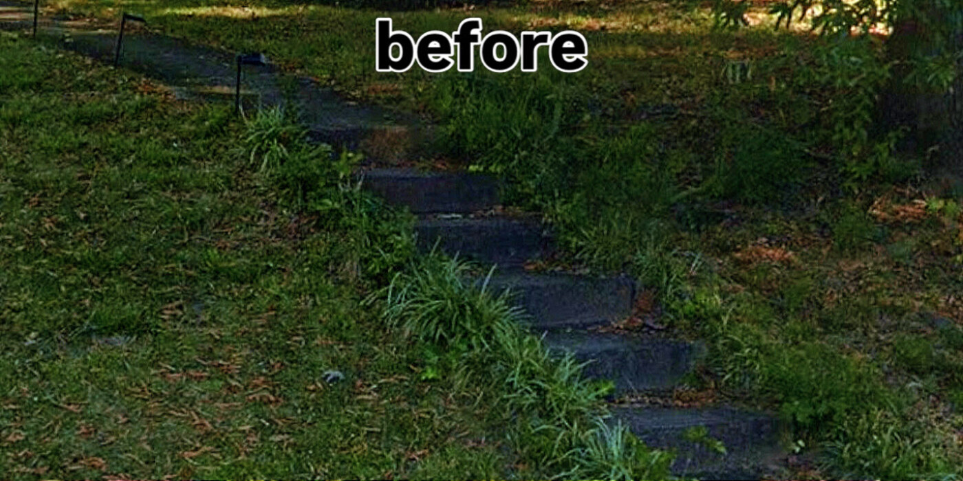 Algae-covered concrete steps before and after surface cleaning — before